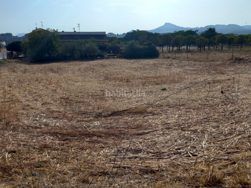 Foto daed0d7a-b9c2-43af-b47e-ce5d1a9d6f61. Terreny residencial a Móra la Nova