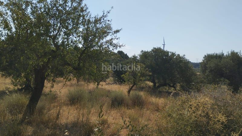 Foto 18e666c2-abbc-45a3-bbb9-cf64d11f0f6b. Finca rústica a Vilalba dels Arcs