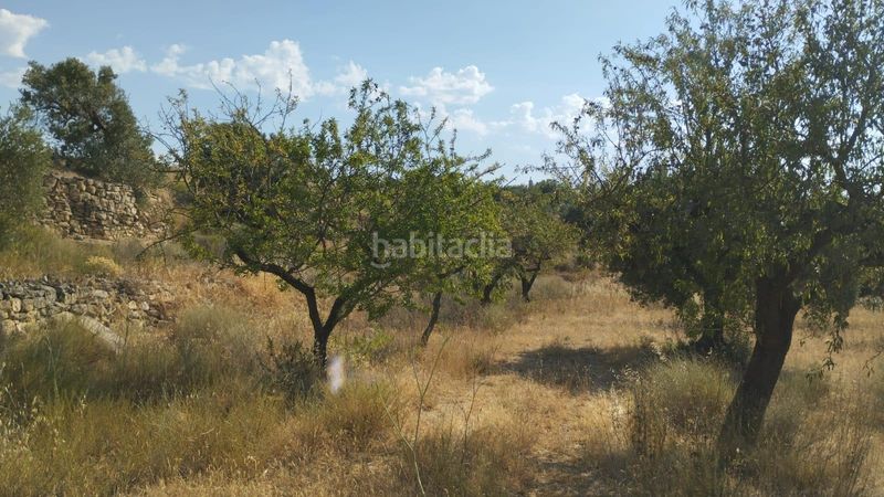 Foto 4828ff0e-9cfe-4f9b-9ff6-890485e76a03. Finca rústica a Vilalba dels Arcs