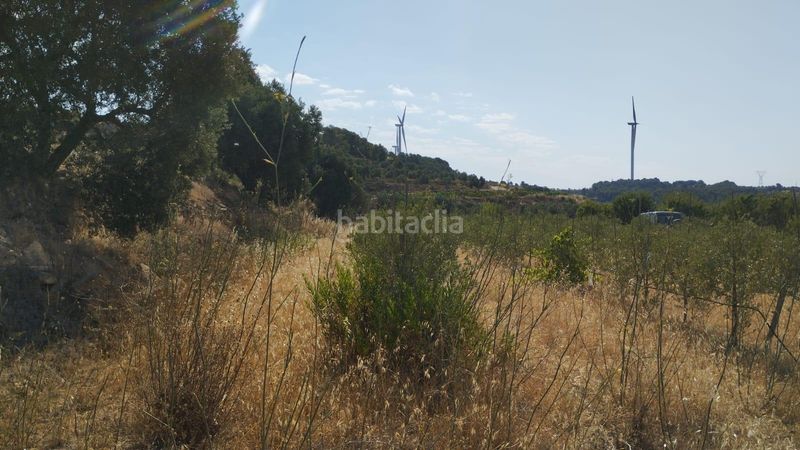 Foto 4c0559f1-53d7-4bf1-b5e1-33d0dfe94902. Finca rústica a Vilalba dels Arcs