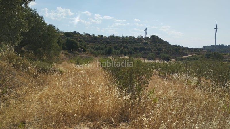 Foto 565b5add-a243-46a4-a51a-698467b2cd58. Finca rústica a Vilalba dels Arcs