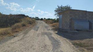 Finca rústica a Vilalba dels Arcs. Ocasion finca de regadio plantada de olivos en produccion