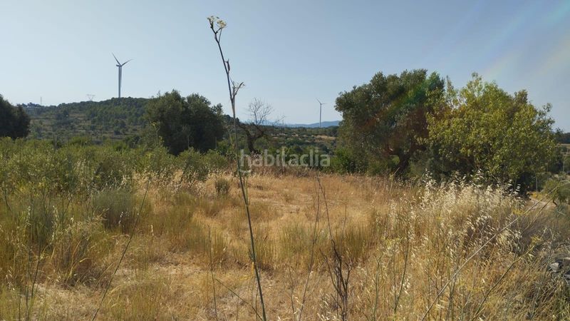 Foto c7ddbc0a-d9d3-4e67-92c0-3bde749ceb29. Finca rústica a Vilalba dels Arcs