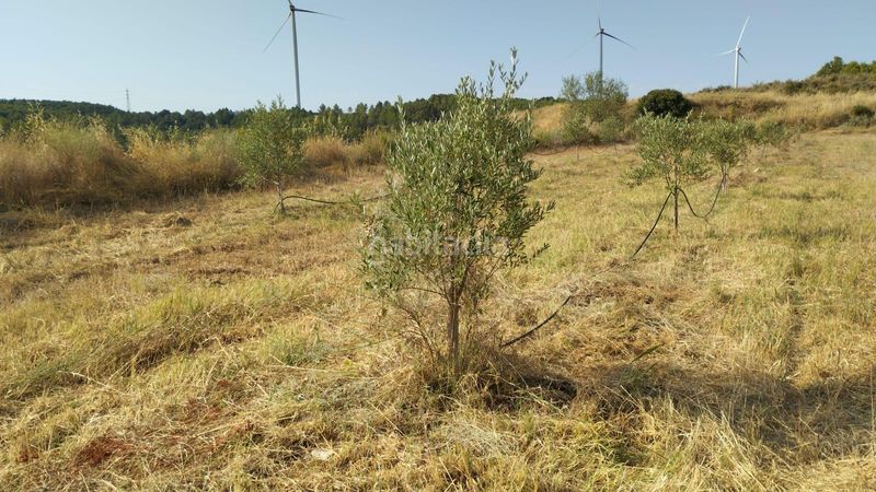 Foto e23e8300-9018-4735-b12b-eb20d600ed53. Finca rústica a Vilalba dels Arcs