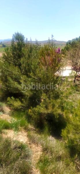 Foto 2282691a-7ca1-4cad-a064-9f735595c0eb. Landgut in Pedanías Teruel