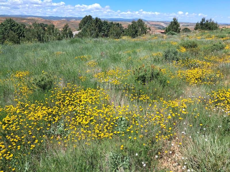 Foto 70dff239-d4f7-40c3-8688-bcb69989c1c7. Landgut in Pedanías Teruel