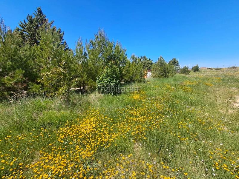 Foto c917980d-3377-47fe-be28-38f2764fb737. Landgut in Pedanías Teruel
