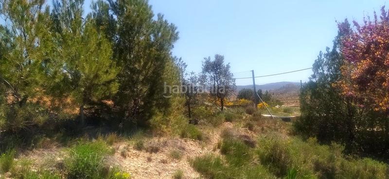 Foto ea09cf65-d9c6-42b2-a266-dd419616facd. Landgut in Pedanías Teruel