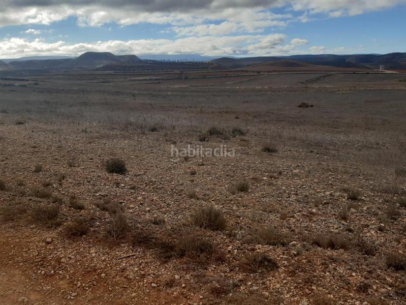 Foto 1f5268dc-5bc2-4edd-8803-da5b1f290089. Terreny residencial a Pedanías Teruel