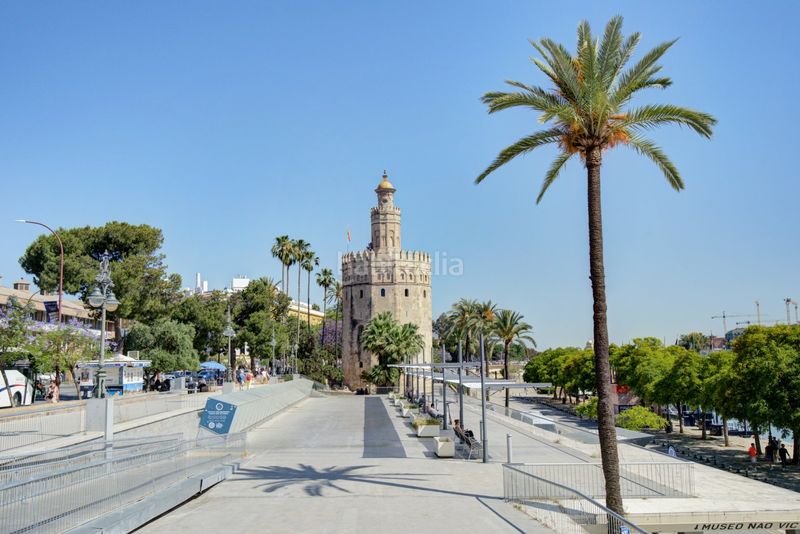 Foto c1556d2a-8f38-48f8-a39c-e87475f1df9d. Àtic a rafael gonzalez abreu 1 a Arenal - Museo Sevilla