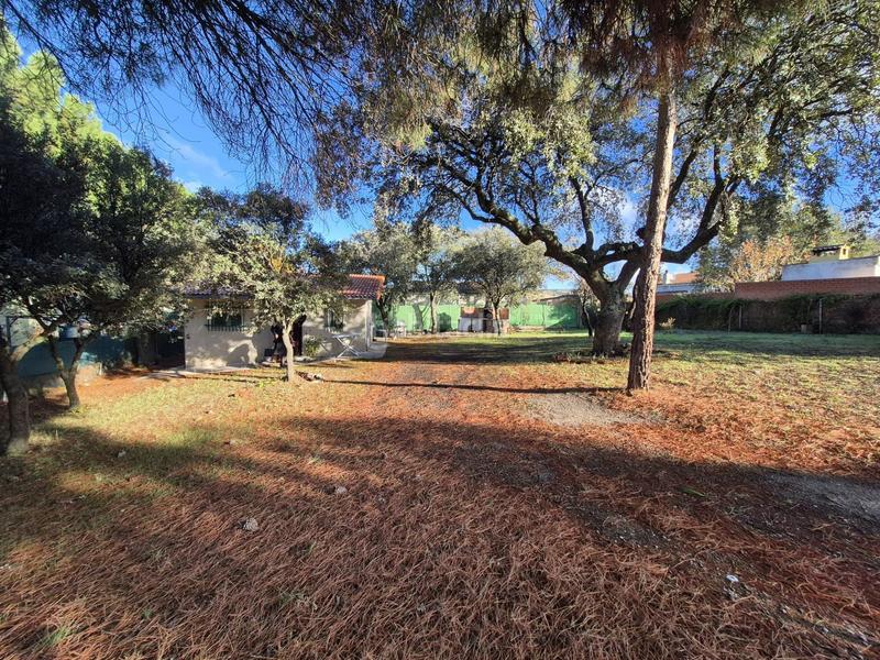 Foto 0bcb3e17-0984-4a1a-8add-cf5f4f8b95cd. Bauernhof in Peñalba de Ávila 17 in Peñalba de Ávila