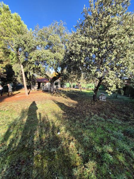 Foto 12e7c3fc-02d4-4ecc-8f75-ad489c74a591. Bauernhof in Peñalba de Ávila 17 in Peñalba de Ávila