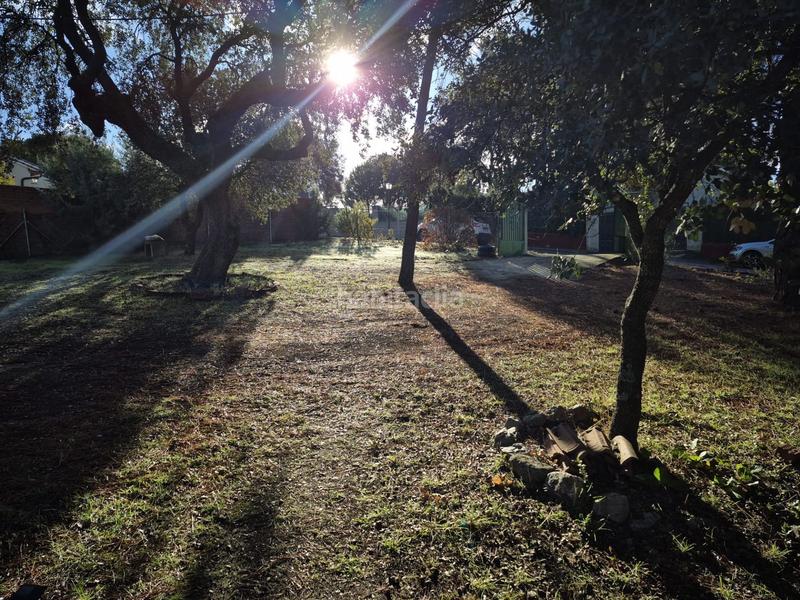 Foto bcef517a-2627-4750-ba63-3a65be049724. Bauernhof in Peñalba de Ávila 17 in Peñalba de Ávila