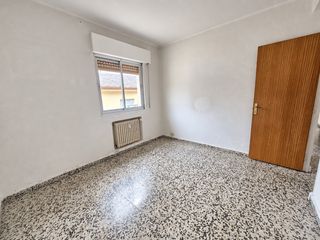 Pis a Santo Tomás