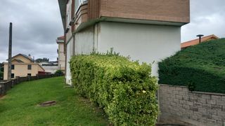 Lloguer Local Comercial a Barrio la rotiza 50. Pedreña, local en alquiler