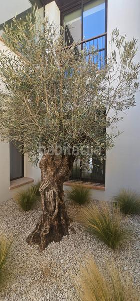 Foto a7e15eb5-9a7c-43c2-909f-7403c3f3f193. Chalet avec chauffage piscine dans Pinar de Advocat-Cometa Moraira