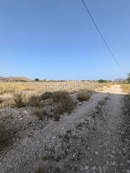 Foto 01f3e7b5-c356-497c-b414-9254e4d2c62f. Finca rústica parcela edificable muy atractiva en Agost