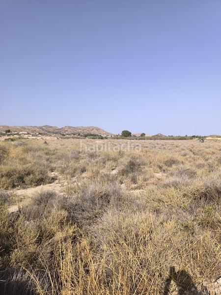 Foto 1651a825-835e-4e48-b8dd-c7f55eee87d0. Finca rústica parcela edificable muy atractiva en Agost