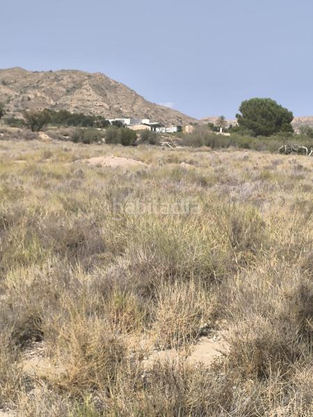 Foto 54e61ead-9414-4373-ae20-01bc4ff21ea7. Finca rústica parcela edificable muy atractiva en Agost