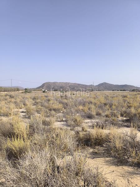 Foto a163f498-6d79-49c8-ad0f-daffb66bfb28. Finca rústica parcela edificable muy atractiva en Agost