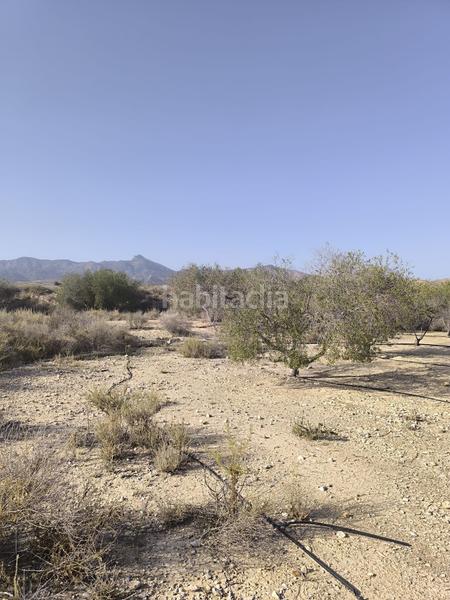 Foto dea308b5-dbe5-4179-9272-aa8ec8bae56f. Finca rústica parcela edificable muy atractiva en Agost