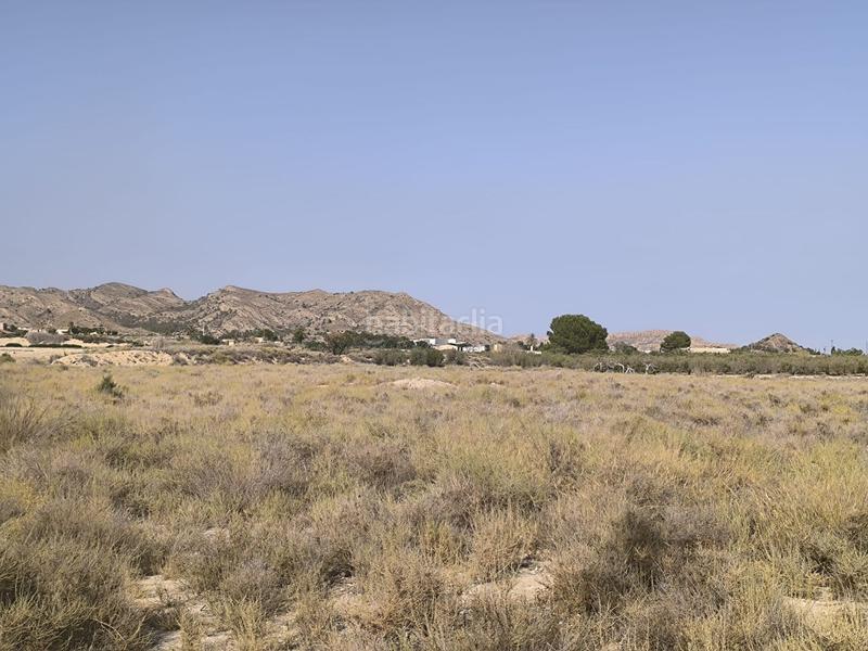 Foto ea8e40c4-06c6-4200-bdce-3d010b481f37. Finca rústica parcela edificable muy atractiva en Agost