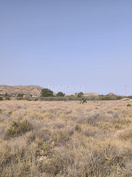 Foto f0409065-67e9-47bb-8dc0-8a97b9db549b. Finca rústica parcela edificable muy atractiva en Agost