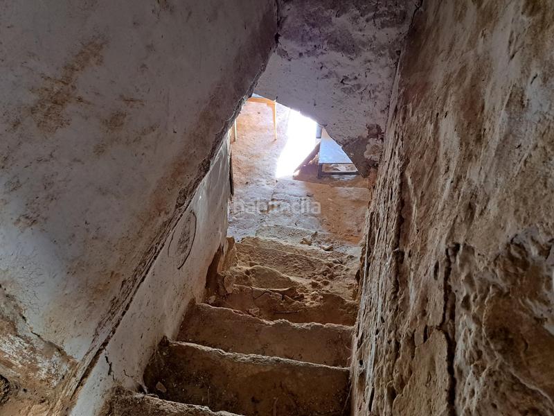 Foto 82b142ef-a9e0-4da1-bae6-8575792cf617. Pis a Siétamo