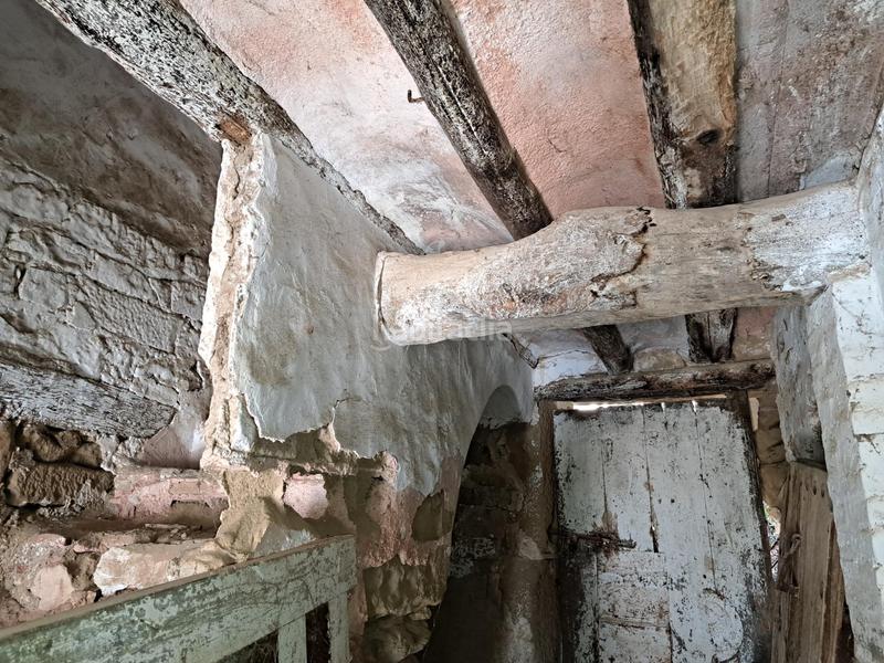 Foto f9b24768-f30b-4f59-872d-be8b7e0a3ab1. Pis a Siétamo