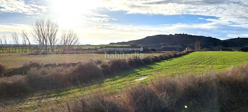 Foto 2ff8c2a2-6911-400c-9de1-3a2924cbdaab. Terreny residencial a Pertusa