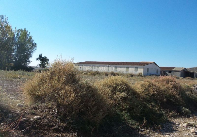 Foto a1a32c5a-786c-4285-9fe8-1f52bdea9512. Terreny residencial a Pertusa