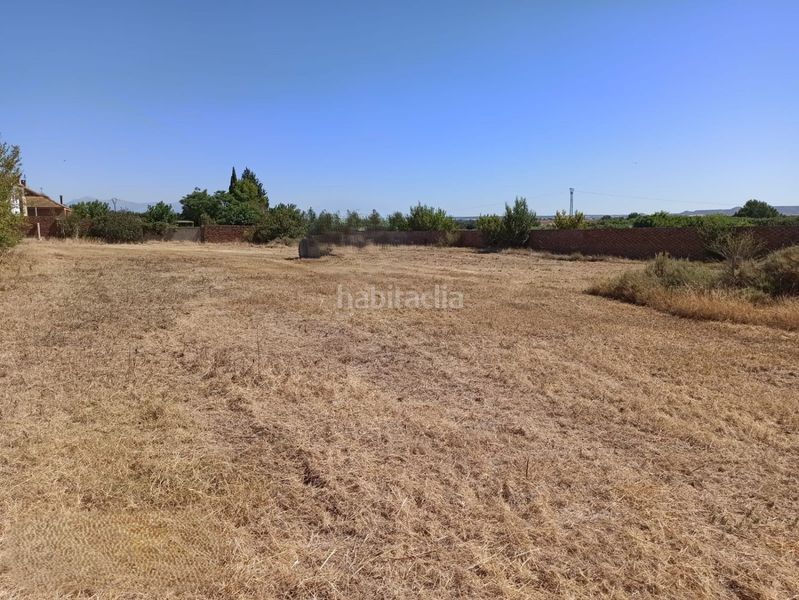 Foto 24dcee0b-e2fc-46ac-97ed-40058564e507. Terreny residencial a Sangarrén