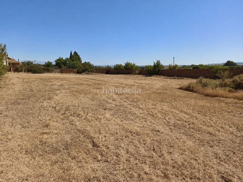 Foto be814f3d-1e0f-4ddf-9cb8-805d26f19699. Terreny residencial a Sangarrén