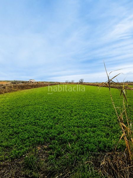 Foto 61802923-bb14-46e6-8b1d-b5f03fdd366c. Masía finca rúst. en venta . en Zuera