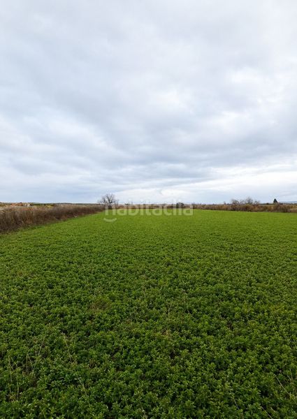 Foto aa8de721-70af-4a51-a8bb-7e578b774008. Masía finca rúst. en venta . en Zuera