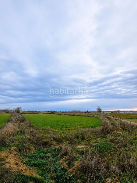 Foto bf4be820-48ed-446c-9736-38490171c573. Masía finca rúst. en venta . en Zuera