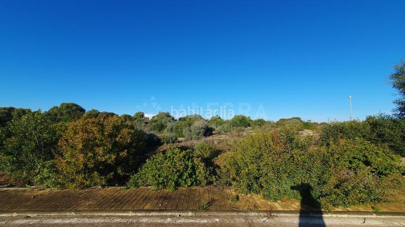 Foto af5b579a-0104-4007-9603-c5e9704f935c. Terreny residencial a El Rocío - La Milagrosa Jerez de la Frontera