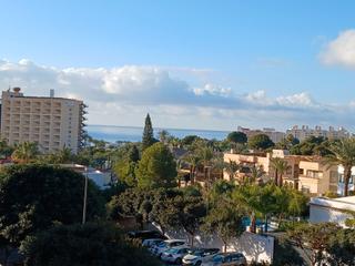 Rent Flat  Calle el plátano