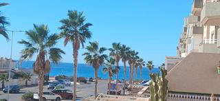 Flat  Paseo del toyo