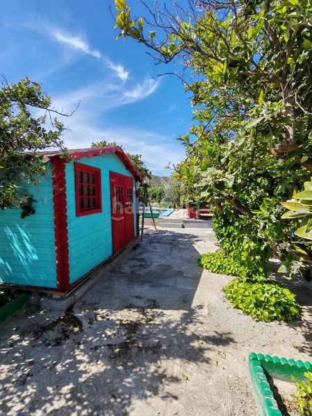 Foto 2db327cc-96e4-4775-91bd-b1749cff80f1. Finca rústica a Santa Cruz de Marchena