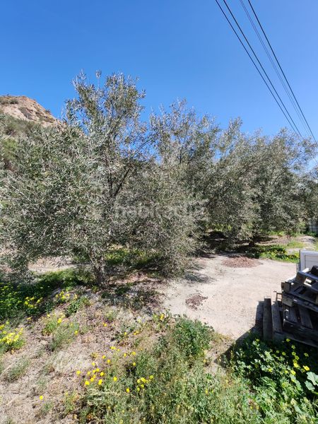 Foto 2f231c3a-df52-4d2c-b3f9-d49098444a5b. Finca rústica a Santa Cruz de Marchena