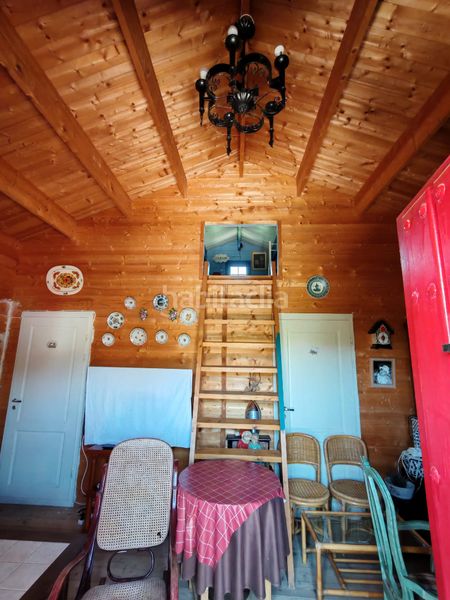 Foto 712a24a0-f04a-47f1-b0e8-0d972b1459d9. Finca rústica a Santa Cruz de Marchena