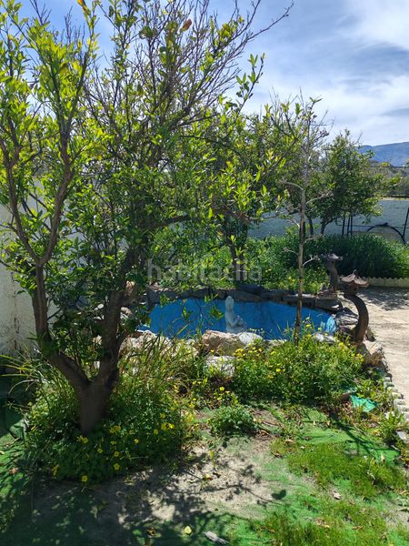 Foto 742211cb-eb42-4e3e-820a-45ea1ab803fb. Finca rústica a Santa Cruz de Marchena