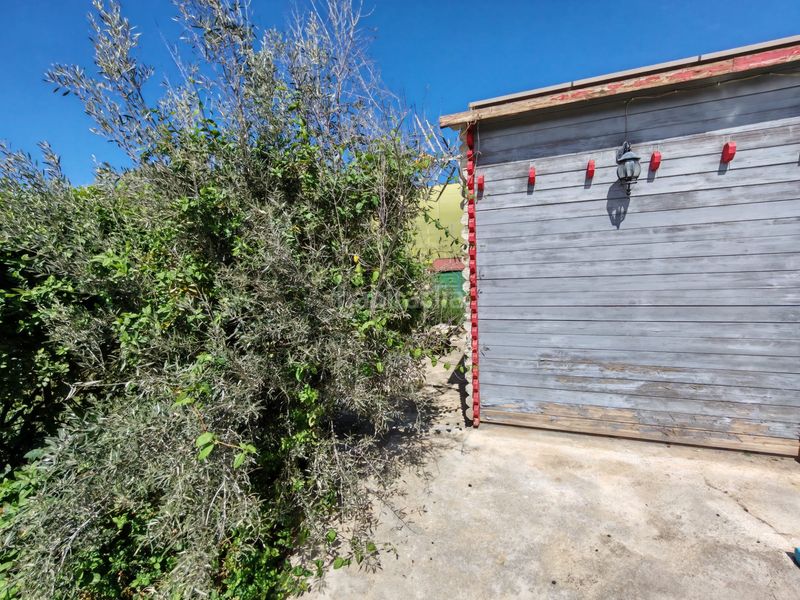 Foto 75a0c420-1820-4bd8-b94e-2dd39594b6ff. Finca rústica a Santa Cruz de Marchena