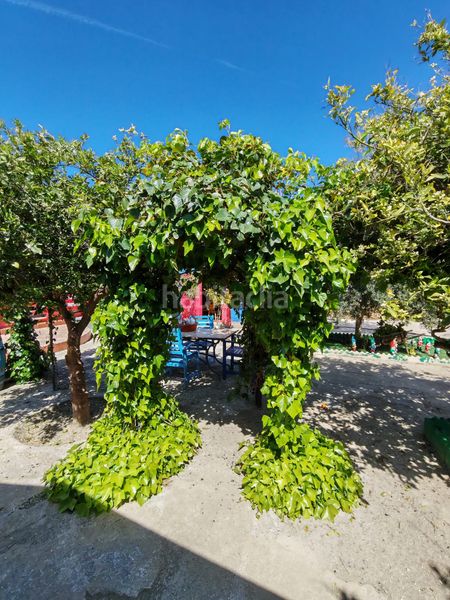 Foto 7828eb31-1827-4681-b2cb-5dc3d267ae71. Finca rústica a Santa Cruz de Marchena