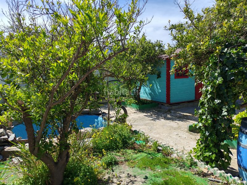 Foto 84a7e6ca-b842-4c91-8d5f-1acc0a45d49e. Finca rústica a Santa Cruz de Marchena