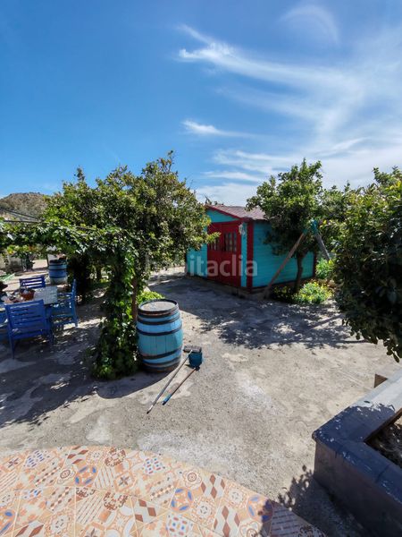 Foto 9c39782c-7d4c-47f8-9b95-bf66fcfffae3. Finca rústica a Santa Cruz de Marchena