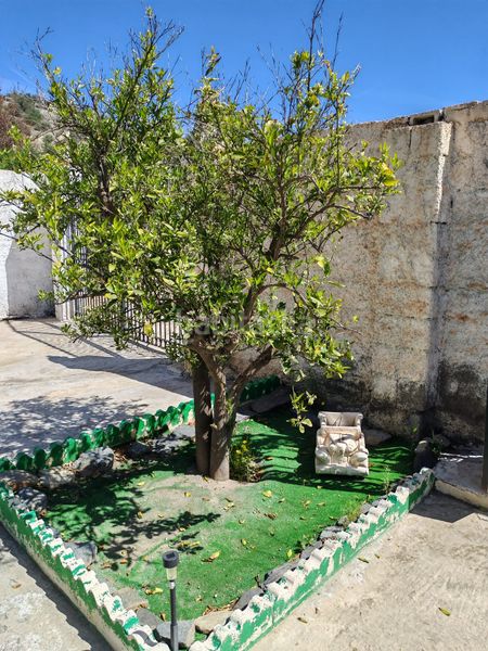 Foto faeffd2c-a8f9-45fd-bdb9-b11ddf297a8f. Finca rústica a Santa Cruz de Marchena