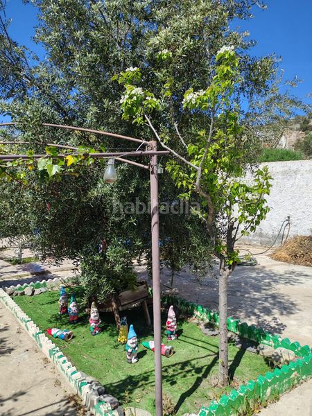 Foto fff5b551-8d9c-4806-8355-9acea9023202. Finca rústica a Santa Cruz de Marchena