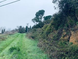 Propriété à Vilopriu. Finca rústica